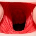 Umělá vagina s piercingem Lexy Roxx White (Spider)