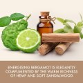Sada pánské kosmetiky – bergamot, konopí a santalové dřevo, 3 ks (Baylis & Harding)