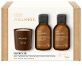 Kosmetická sada Wellness Energise – zázvor, limetka a bazalka, 3 ks (Baylis & Harding)