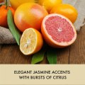 Kosmetická sada pro péči o ruce – mandarinka a grapefruit, 3 ks (Baylis & Harding)