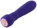 Mini vibrátor Booster Bullet Purple (FemmeFunn)