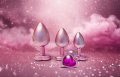 Set kovových análních kolíků se srdíčkem Pearl Pink Plug Set (Dream Toys)