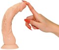 Realistické dildo s přísavkou European Lover (You2Toys)