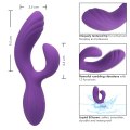 Vibrátor s králíčkem Stella C Curve (California Exotic Novelties)