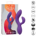 Vibrátor s králíčkem Stella C Curve (California Exotic Novelties)