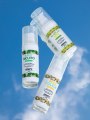 Set hřejivých intimních masážních olejů Let's Celebrate! - 3x 30 ml (Exsens)
