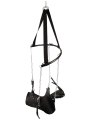 Závěsná sex houpačka Sex Swing (You2Toys)