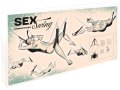 Závěsná sex houpačka Sex Swing (You2Toys)