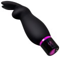 Set erotických pomůcek Raunchy Kit - 6 ks (Dream Toys)