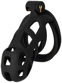 Plastová klec na penis Penis Prison Long (Hidden Desire)