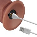 Realistický vibrátor s přísavkou Power Cock 10,5" (Lovetoy)
