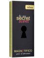 Pánský parfém s feromony MAGNETIFICO Secret Scent