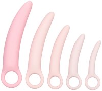 Malá dilda (do 16 cm): Sada dilatátorů na roztažení vaginy Inspire Dilator Kit (5 ks)