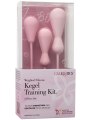 Sada vaginálních činek Inspire Kegel Training Kit (3 ks)
